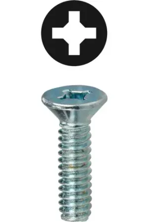 Don't Miss Out L.H.Dottie® Phillips & Square Flat Head Machine Screw, 1/4"-20 x 1", 100 Pack
