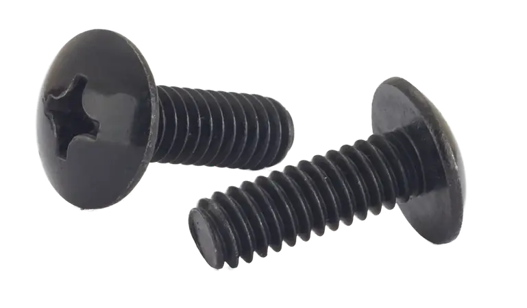 Express Delivery 1/4"-20 X 1" Machine Screws Truss Head Phillips Drive 18/8 Stainless Steel Black Oxide (1000/Pkg.)
