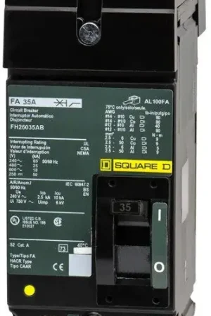 Square D FH26035AB - 35A 2 Pole Molded Case Circuit Breaker Buy Online