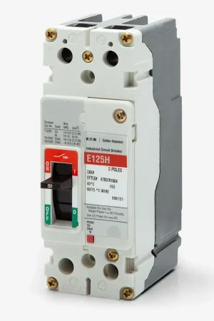 Don't Miss Out Eaton / Cutler-Hammer EGS2050FFG - 50A 2 Pole Molded Case Circuit Breaker