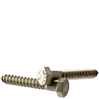 1/2"-6 x 12" Hex Lag Screws, 316 Stainless Steel, Qty 10 Next Day Delivery