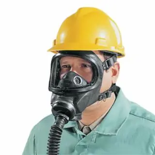 MSA 480247 Medium Replacement Facep Holiday Sale