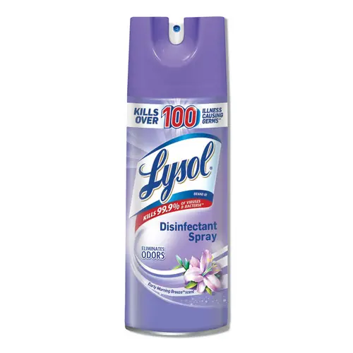 Lysol RAC80833 Lysol Disinfect Spray Early Mrn Breeze 12/12.5 (1 CA) Special Discount