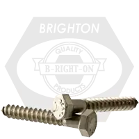Grab Now 3/4"-4 1/2 x 3" Hex Lag Screws, 316 Stainless Steel, Qty 10