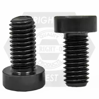 M3-0.50 x 10 mm Low Head Socket Cap Screws, Metric Class 8.8, Plain Finish, Full Thread, DIN 7984, Qty 2500 Weekend Sale